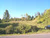 6286SoVineValley.jpg (23216 bytes)